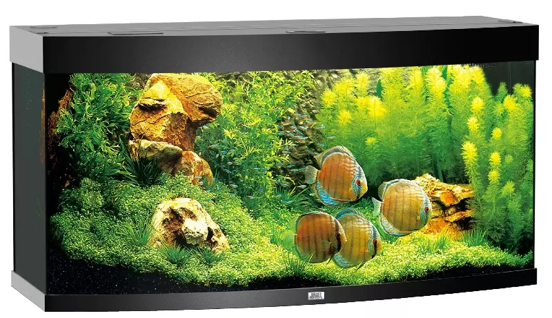 juwel-vision-aquarium-260-schwarz Juwel Vision 260 - Aquarium