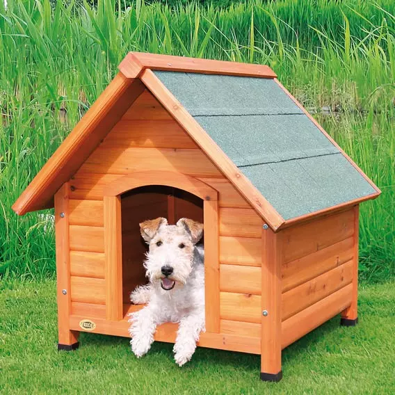 Dog kennel with gable roof