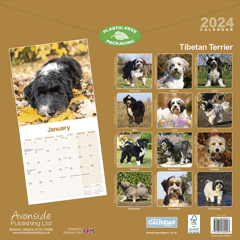 Kalender 2024 Tibet-Terrier - Tibetan Terrier
