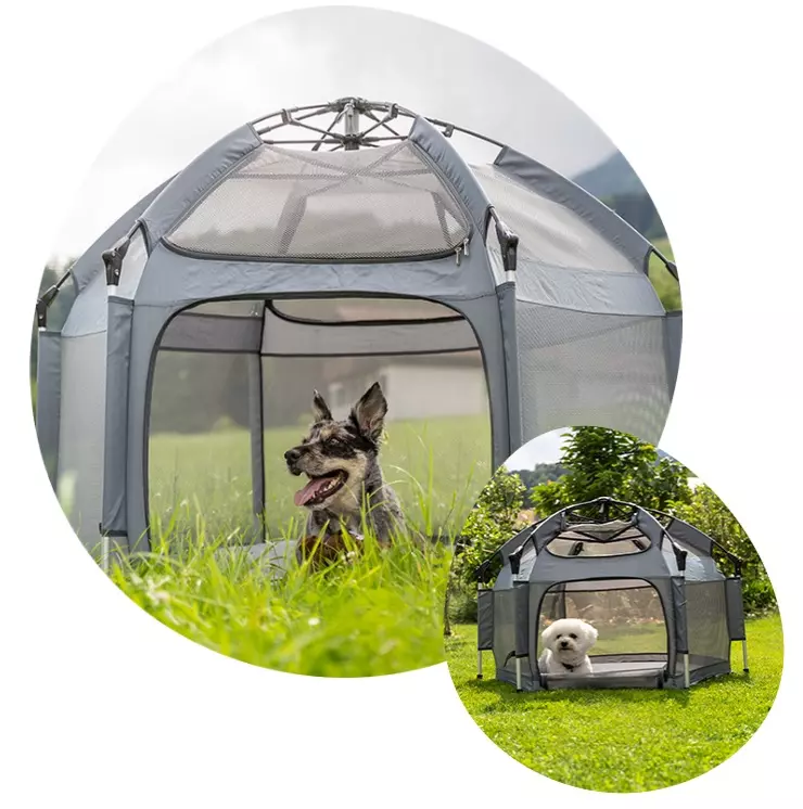 Pety -Hundezelt