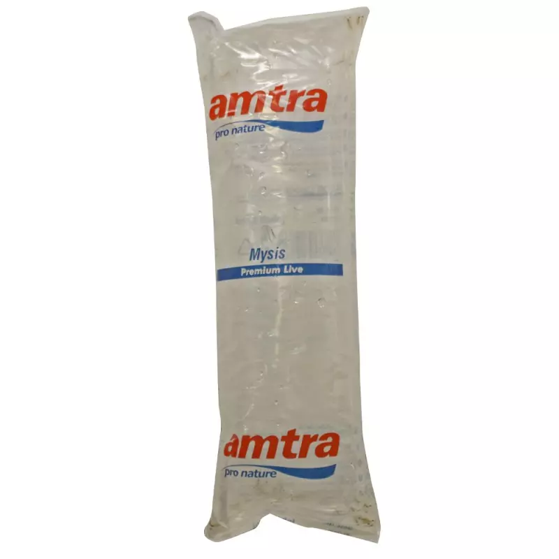 mysis-amtra