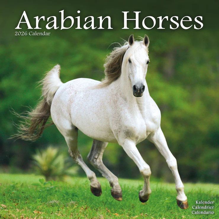 Calendar 2025 Arabian Horses