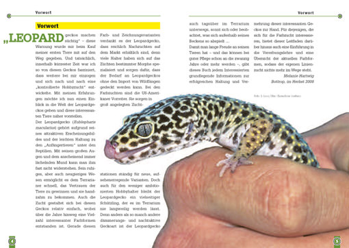 The leopard gecko