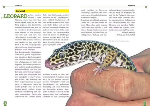 Der Leopardgecko