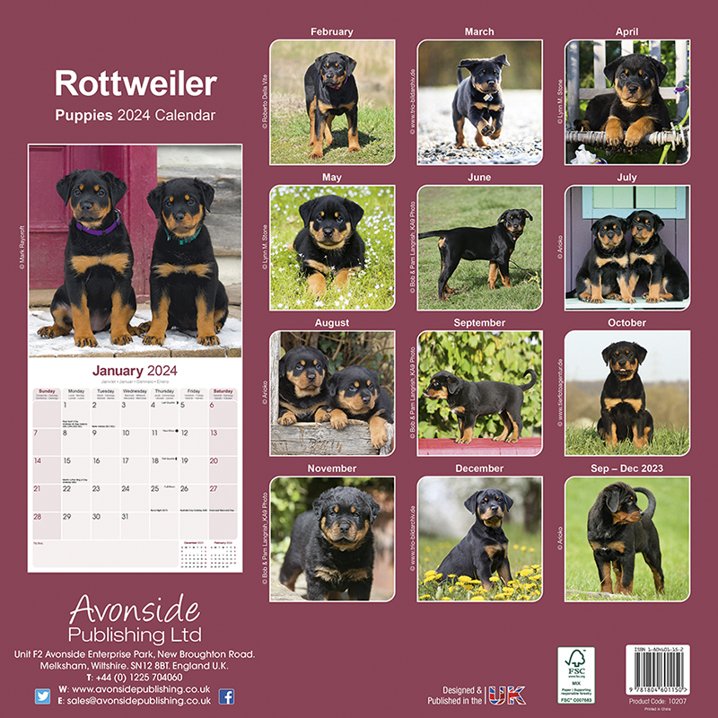 Calendar 2024 Rottweiler - Puppies