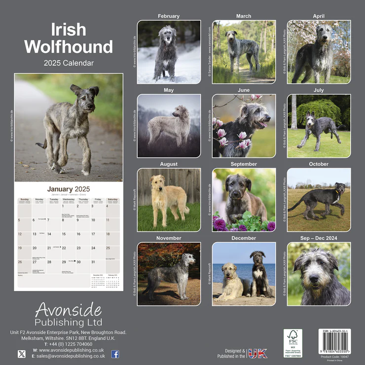 Calendrier 2025 Irischer Wolfshund - Irish Wolfhound