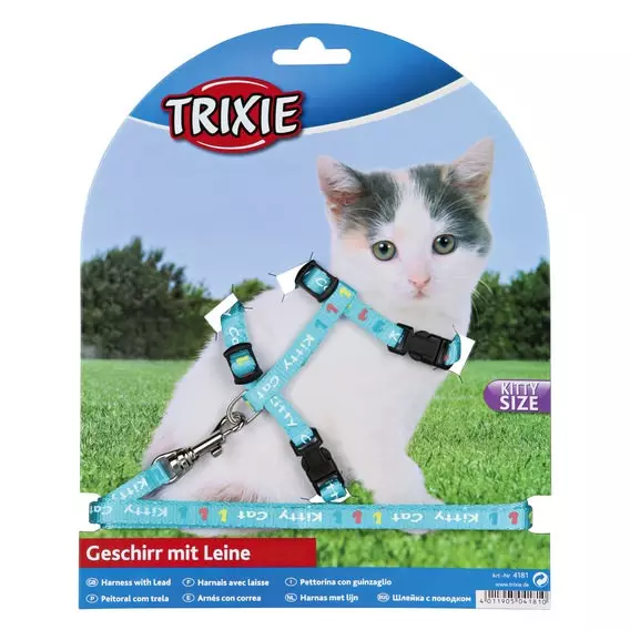 Garnitur für Kätzchen und kleinere Katzen