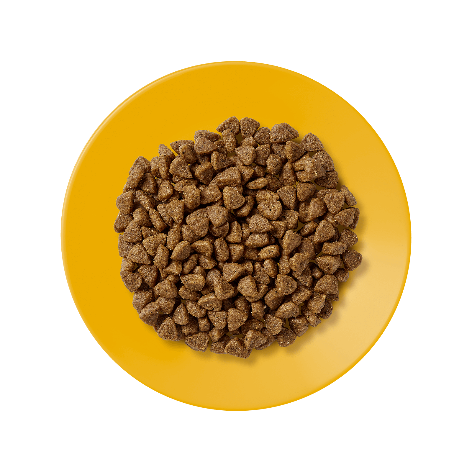 Applaws Kitten Chicken