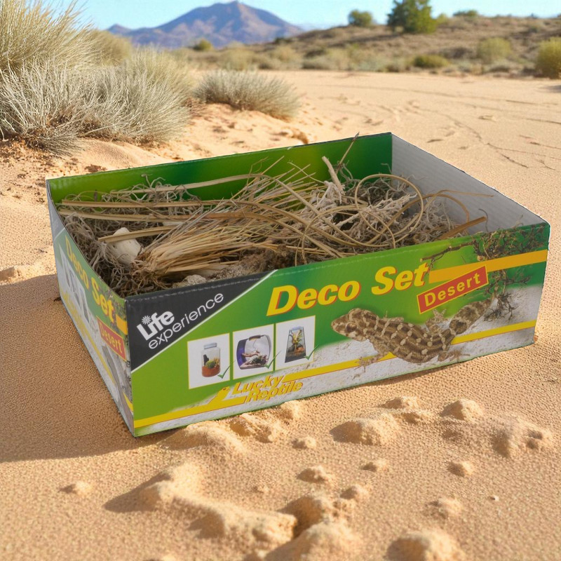 Deco Set Desert  - Terrariendekoration