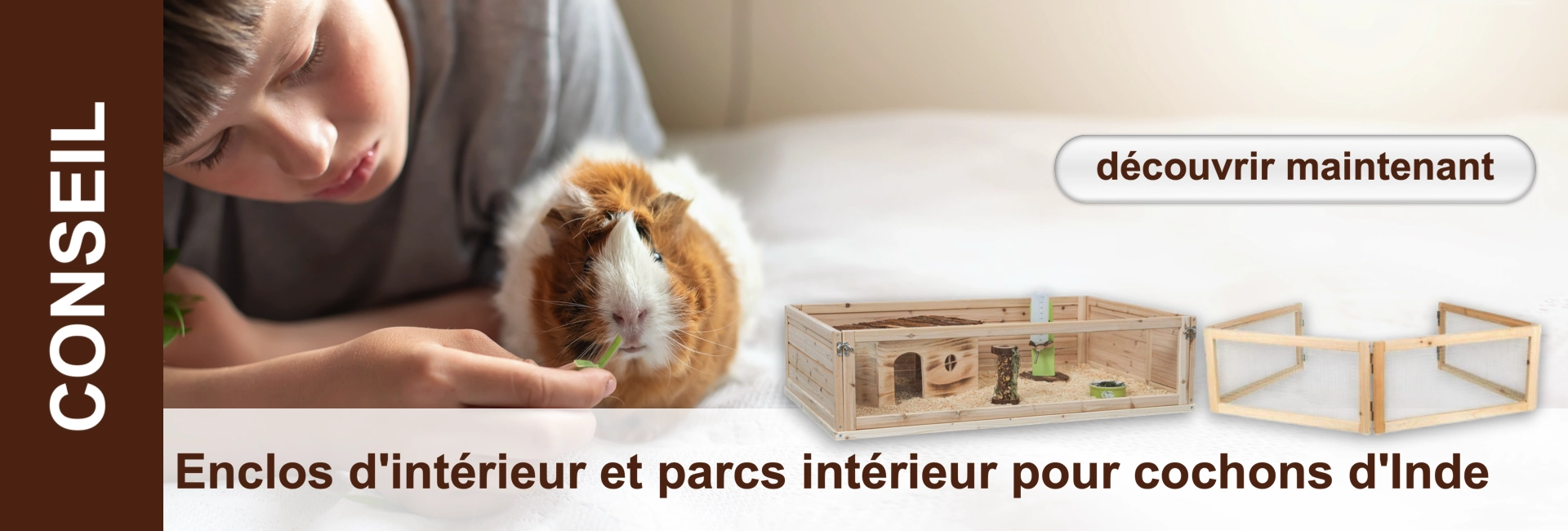 Enfant nourrissant des cochons d'Inde avec de l'herbe, en arrière-plan un enclos.