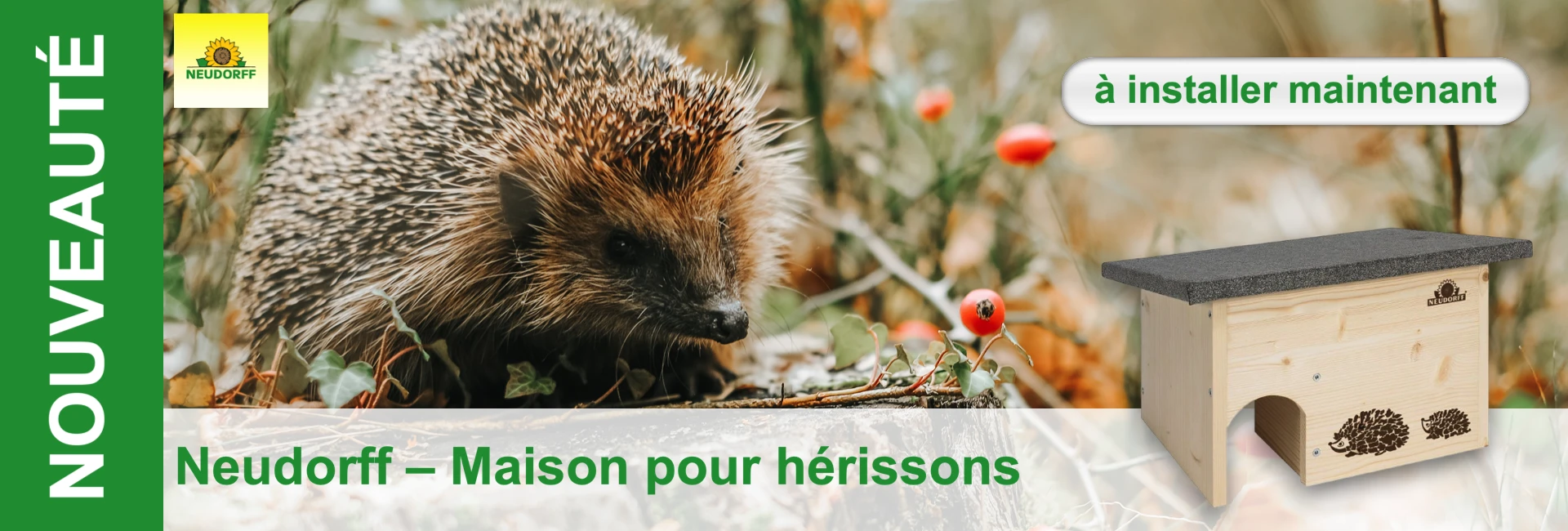 Gros plan sur un hérisson en plein air, à côté d'une maison en bois avec un petit motif de hérisson.