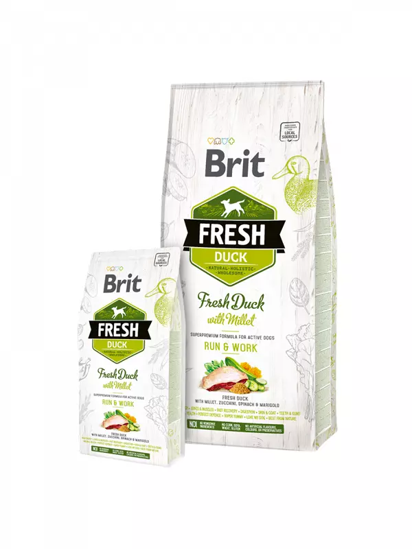 Brit Fresh -  Run & Work - Ente