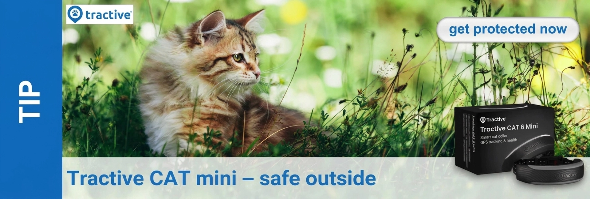 A tabby kitten with fluffy fur sits alertly in the tall, green grass, looking to the right. At the bottom right, you can see the black packaging and the Tractive CAT 6 Mini GPS collar, surrounded by a blurred meadow.