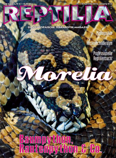 Reptilia 118 - Morelia