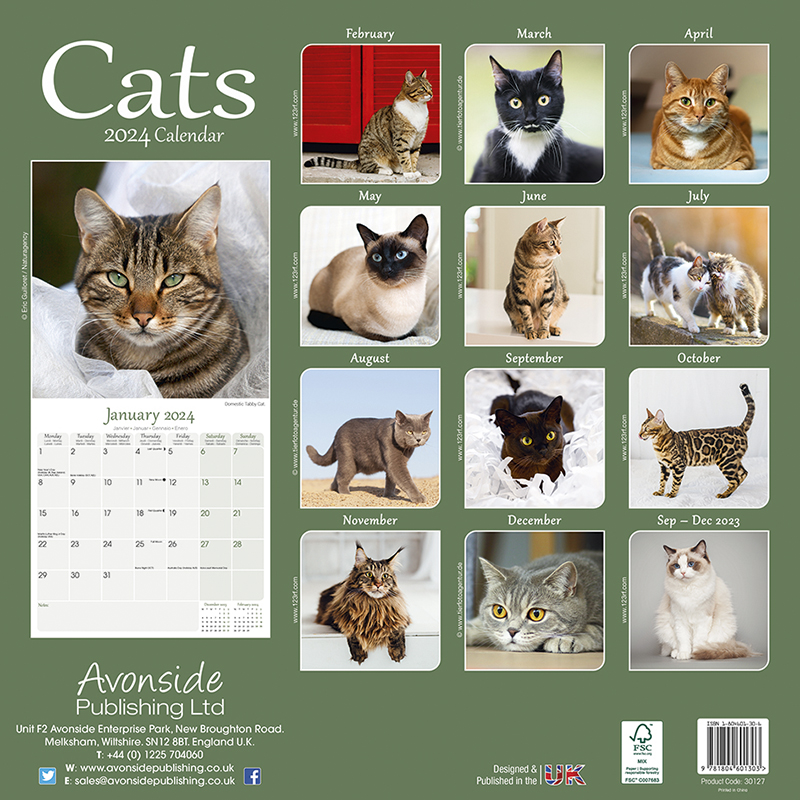 Kalender 2024 Cats - Katzen - Felis