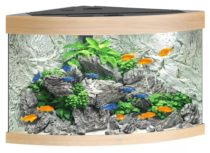 juwel-trigon-190-hellg-1 Juwel Trigon Aquarium