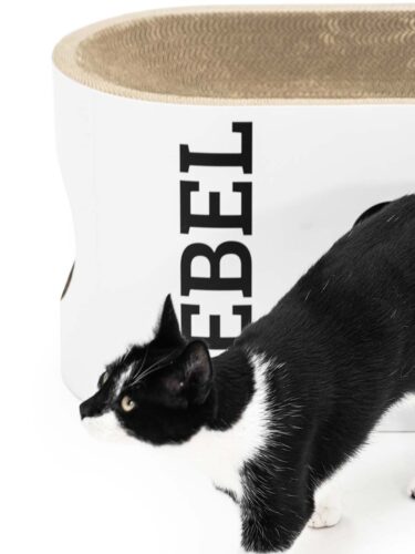 Un gatto maschio bianco e nero con gli occhi gialli è in primo piano, attento, e guarda verso sinistra. Sullo sfondo si vede un tiragraffi di cartone bianco con superficie scanalata. Sopra c'è la scritta verticale "REBEL".