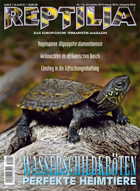 Reptilia 116 - Wasserschildkröten - Perfekte Heimtiere