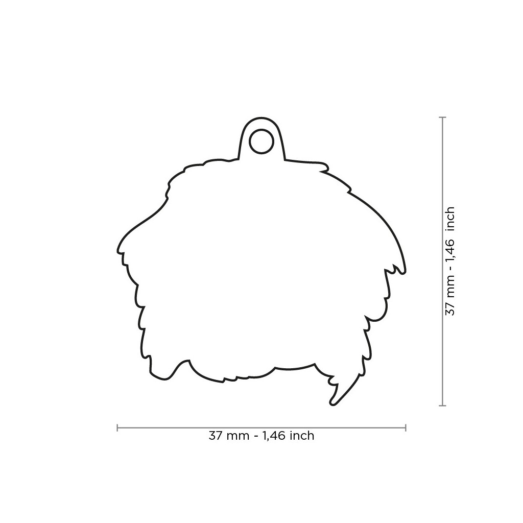 MyFamily address tag Bernese Mountain Dog