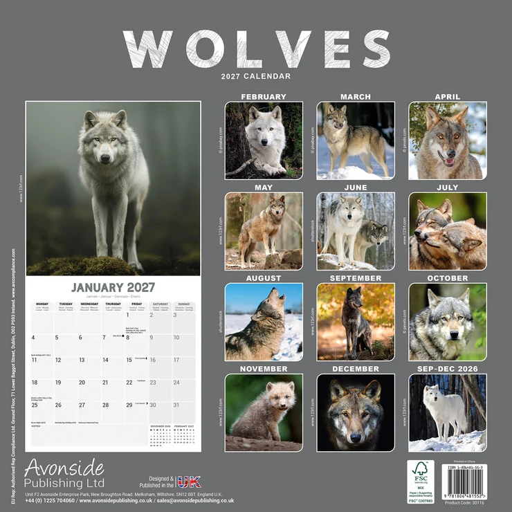 Kalender 2027 Wolf - Wölfe - Wolves