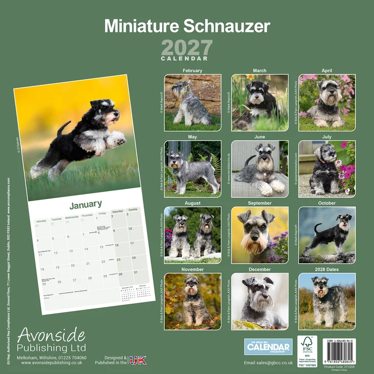 Kalender 2027 Miniature Schnauzer - Zwergschnauzer