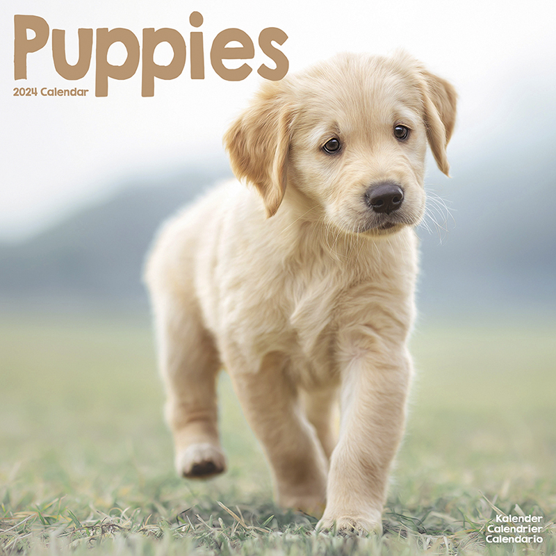 Kalender 2024 Welpen - Puppies