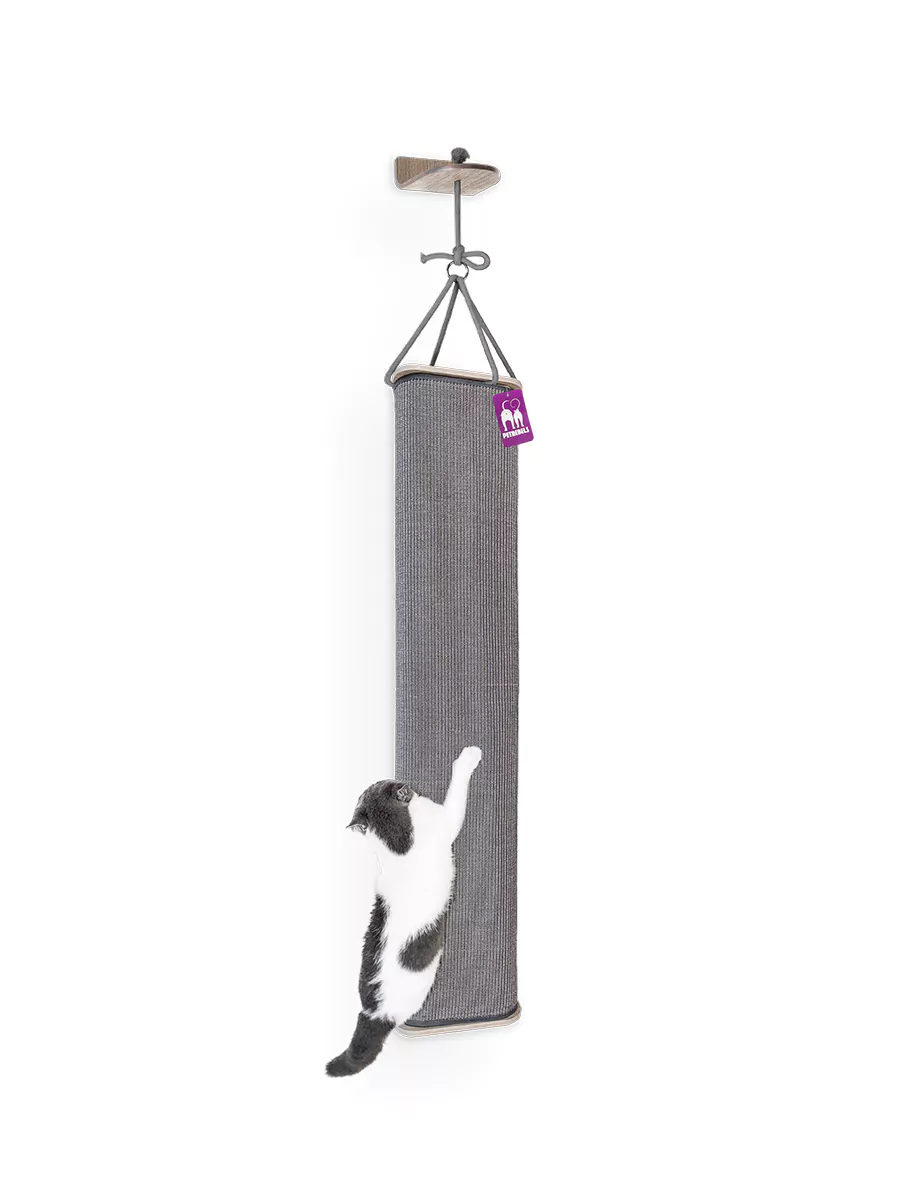 Wall of Rebels Box Sack