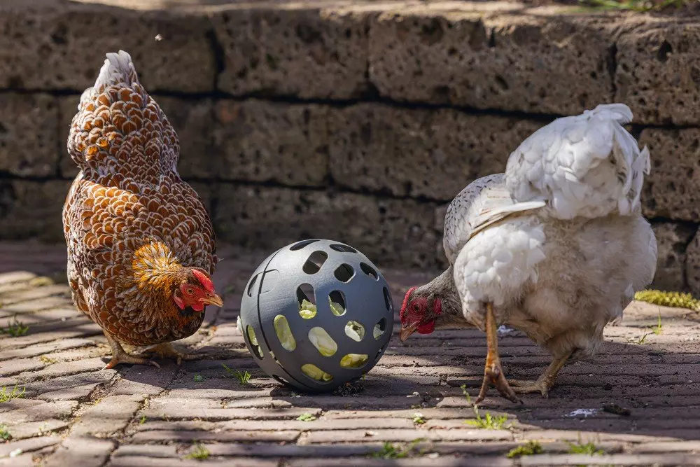 Beeztees Chicken Snack Ball