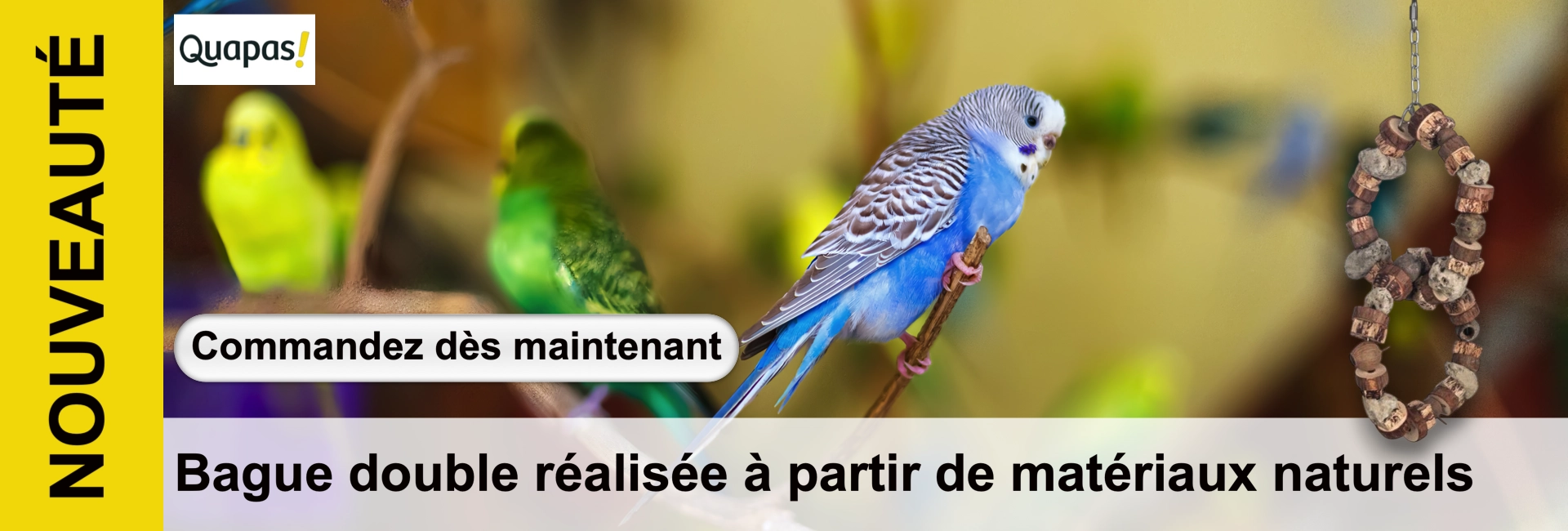 Une perruche bleue à tête blanche et rayures noires est perchée sur une branche. En arrière-plan, deux perruches vertes. À droite, un jouet pour oiseaux en matériaux naturels : double chaîne d'anneaux en bois. Texte : « double chaîne »