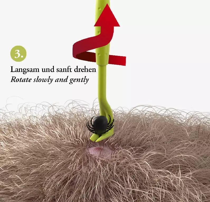 Zeckenhaken