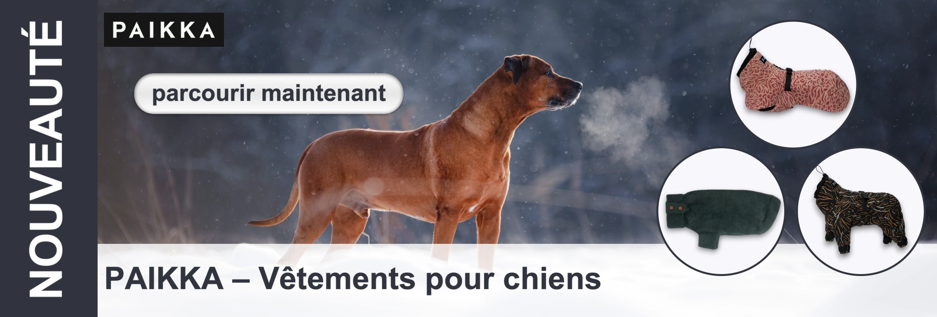 Chien brun dans la neige, respiration visible. A droite, vêtements pour chiens dans des cercles. "PAIKKA - Vêtements pour chiens" inscription.