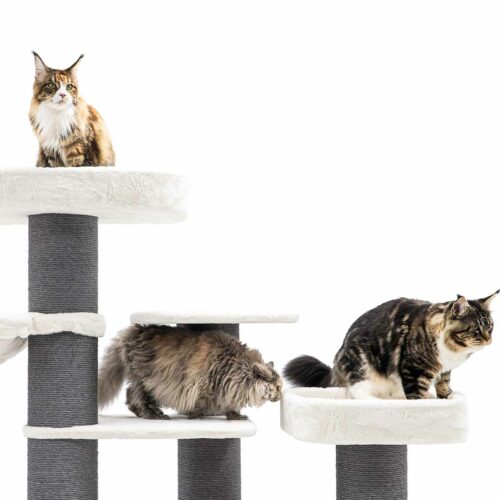 Drei Katzen verschiedener Rassen und Fellfarben bewegen sich auf einem mehrstöckigen Katzenbaum mit grauen Kratzstämmen und weißen Liegeflächen. Eine Tabby sitzt oben links, eine Langhaarkatze läuft mittig, eine dunkelbraun gestreifte sitzt rechts unten.