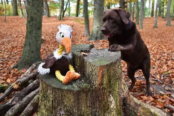 Knotentier - Wally das Geiermädchen Knotentier - Wally das Geiermädchen