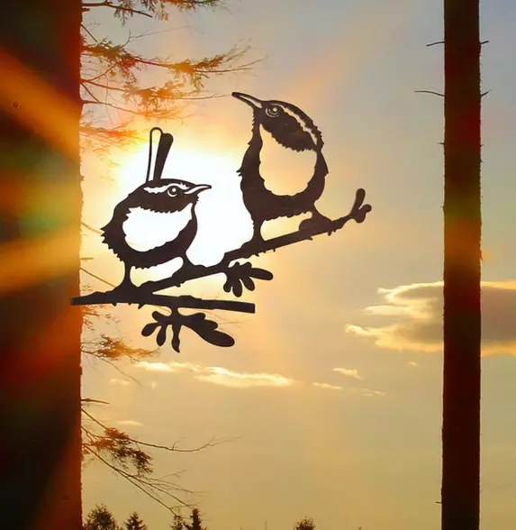 Silhouette di due scriccioli su un ramo, spina dell'albero con tramonto.