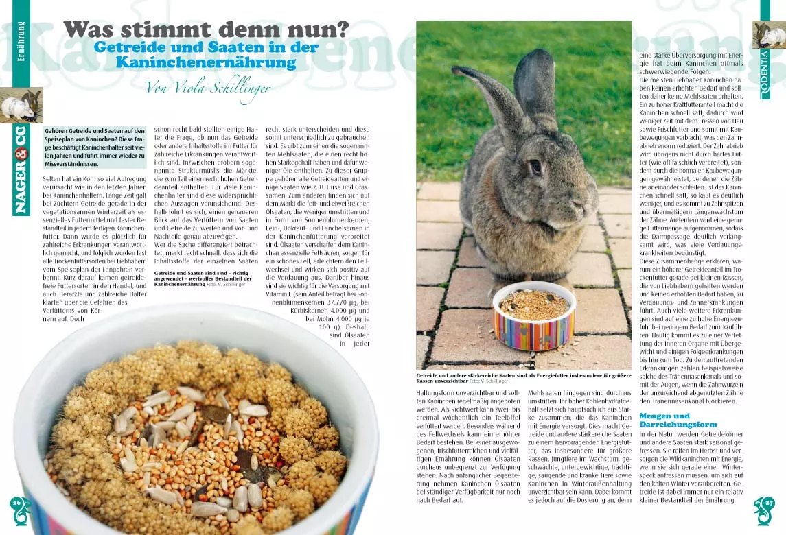 rodentia-78-kleintier-docs-4 Rodentia 78 - Kleinter-Doc's