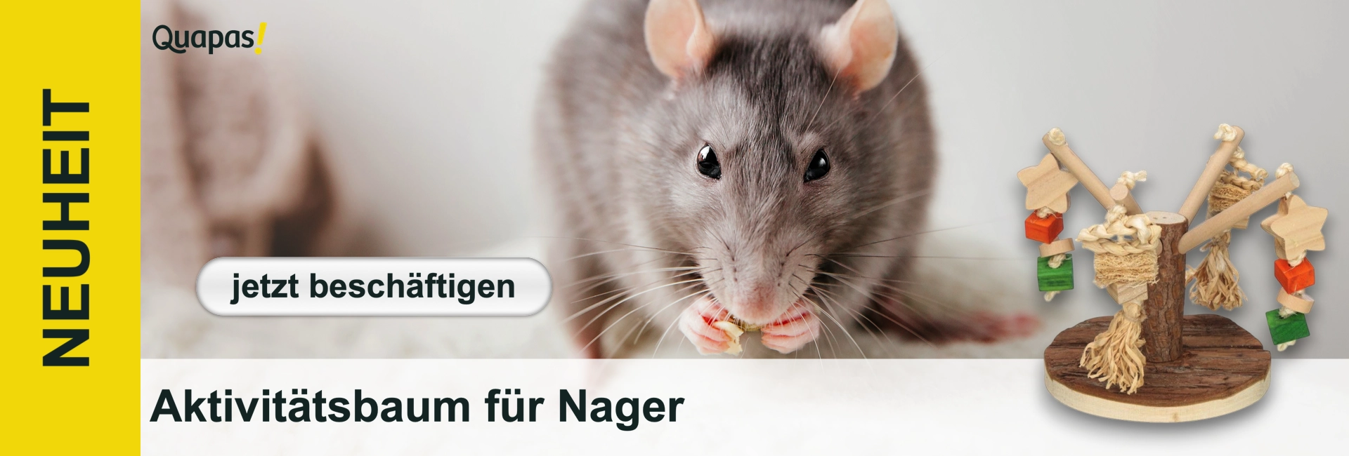 Ein graues Ratte mit dunklen Augen und langen Schnurrhaaren hält Futter in den Pfoten. Rechts daneben ist ein hölzerner Aktivitätsbaum für Nager zu sehen, verziert mit sternförmigen Holzstücken, Naturfasern und bunten Klötzen zum Spielen und Nagen.