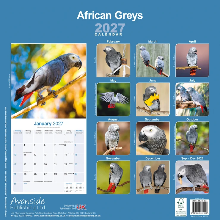 Kalender 2027 African Grey - Graupapagei