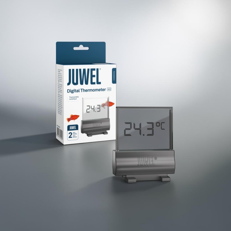 Modern Digital Thermometer 4.0 with a transparent display, showing 24.3 °C. Sleek device for monitoring aquarium temperature, shown before packaging with the product name and red ornamental fish on a neutral grey background.