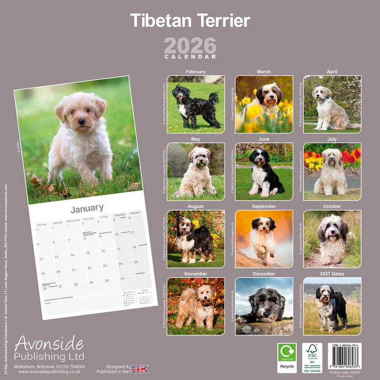 Calendar 2025 Tibetan Terrier
