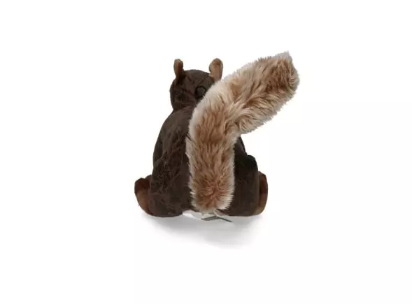 Eichhörnchen-1