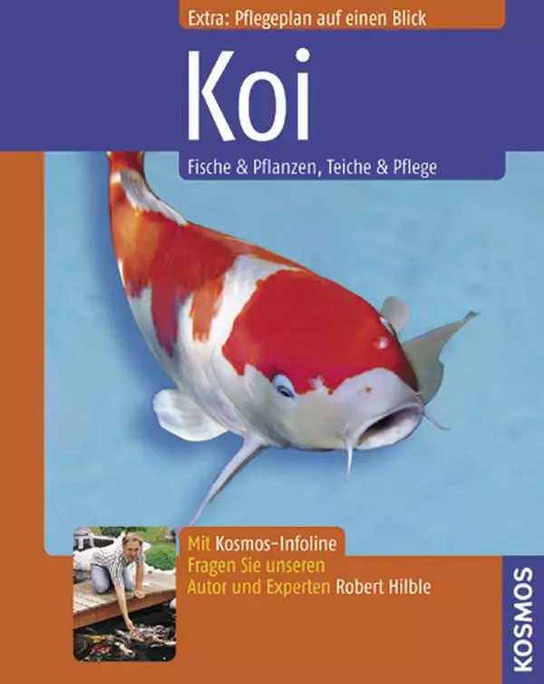 Kosmos Koi