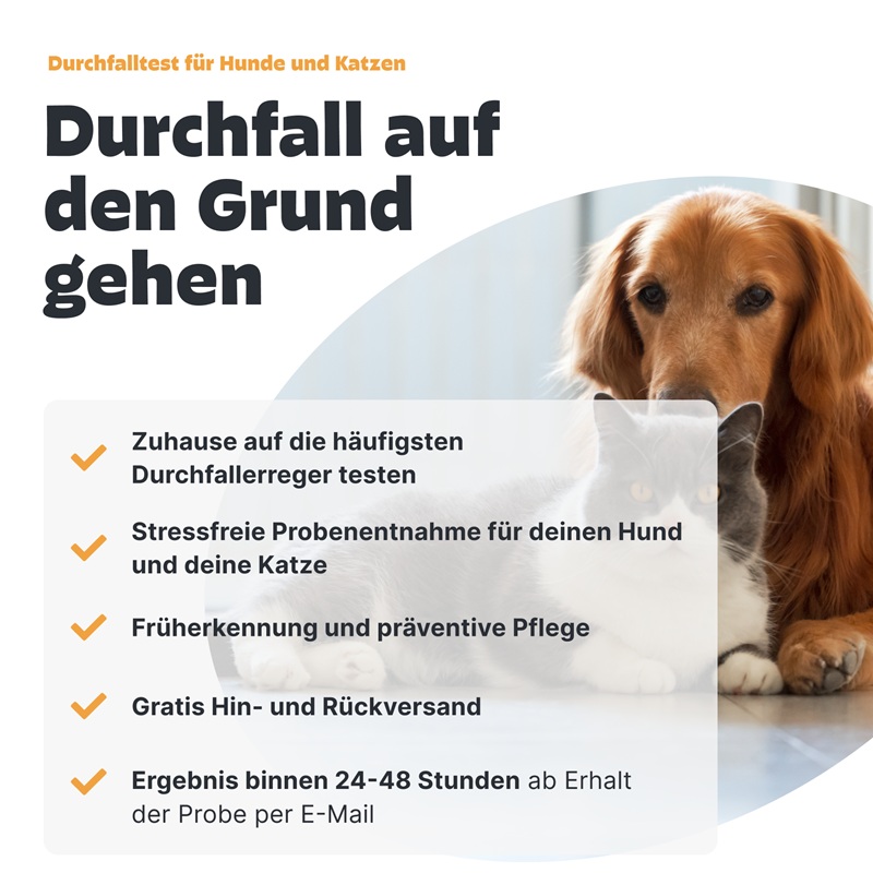 Durchfalltest für Hunde und Katzen
