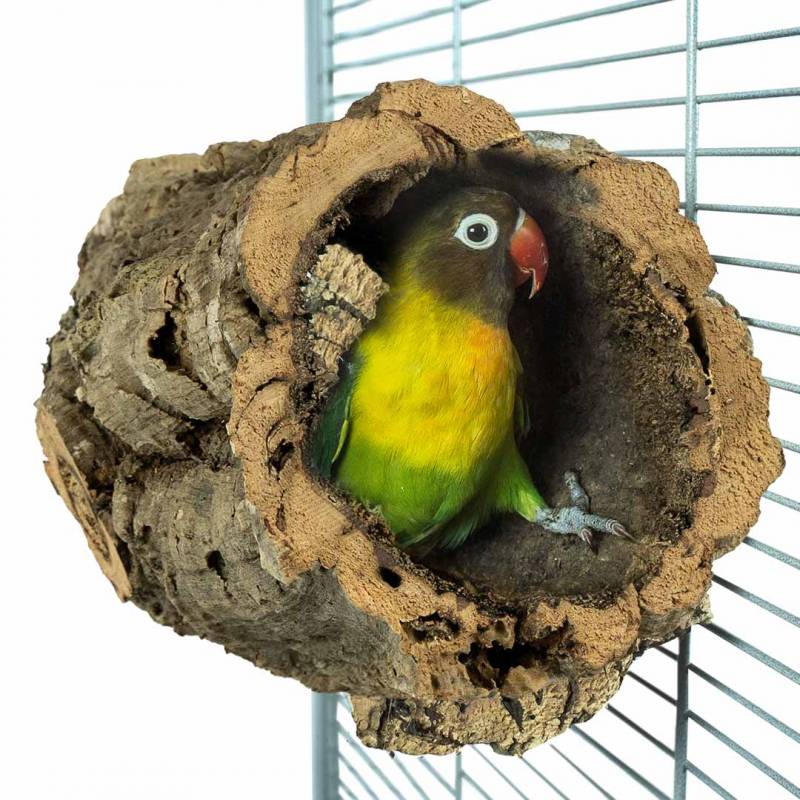 Natürliches Vogelspielzeug Zum Schreddern & Futtersuchen – Für Sittiche, Wellensittiche, Kleine Vögel