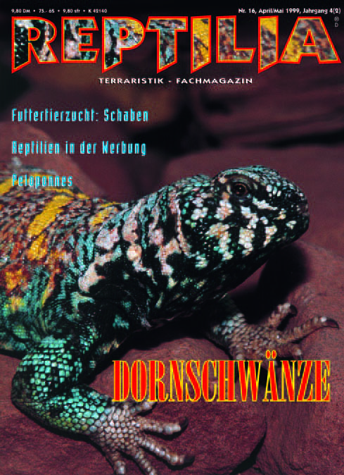 Reptilia 16 - Dornschwänze