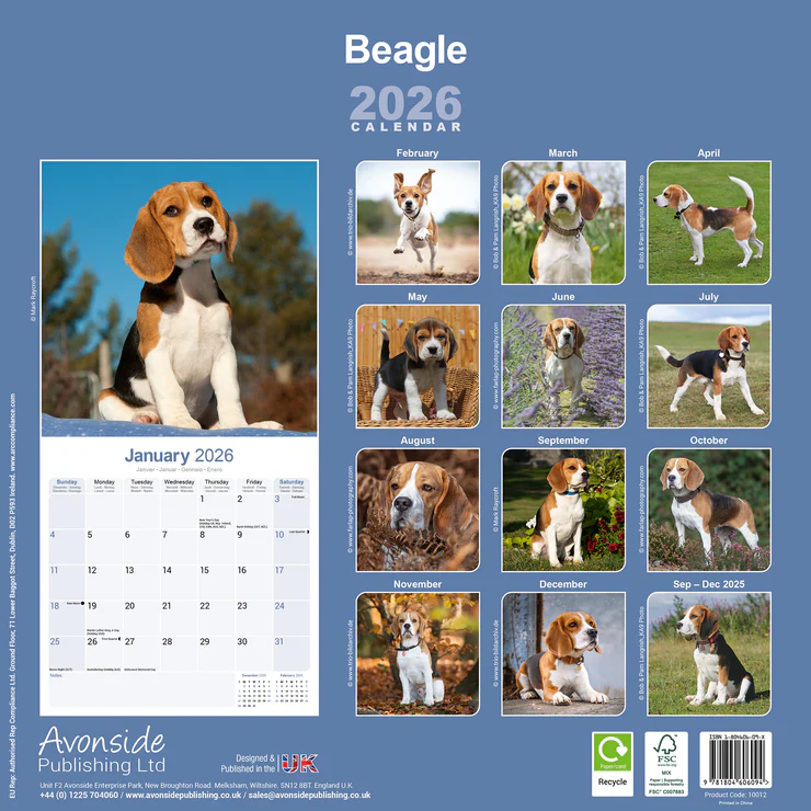 Calendar 2025 Beagle