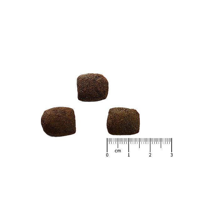 Tre crocchette marrone scuro, quasi cubiche, del mangime per cani Kyli InsectoDog Hypoallergen Adult sono su sfondo bianco. Un righello indica che ciascuna misura 1-1,5 cm e ha superficie leggermente ruvida.
