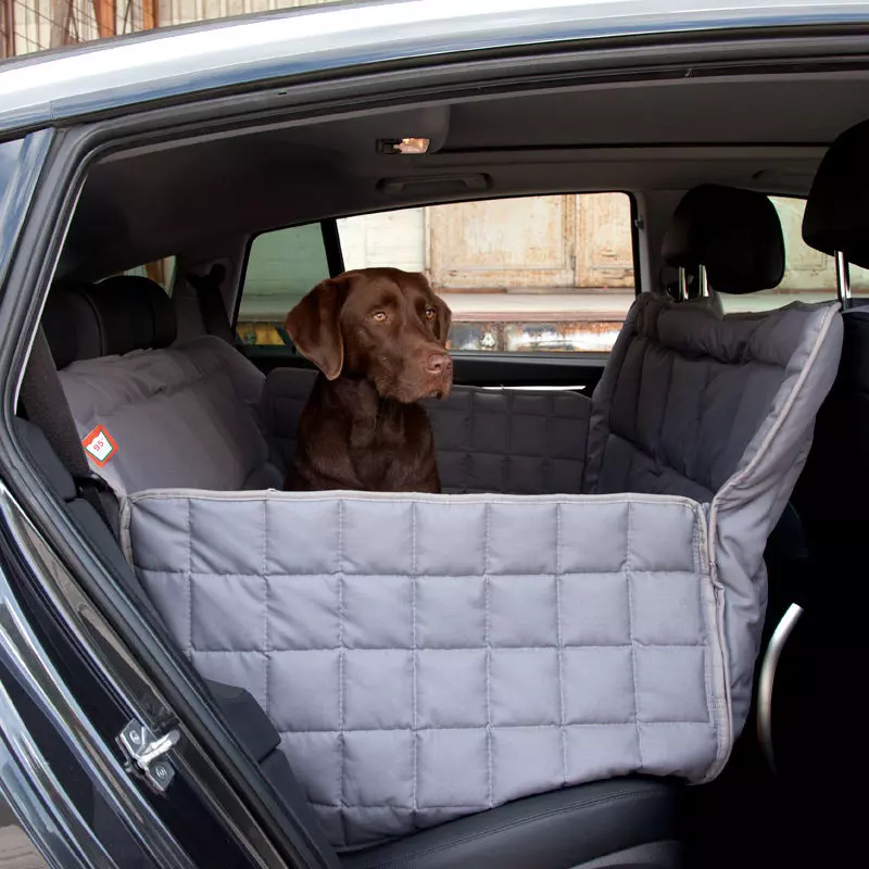 Doctor Bark, Autodecke grau