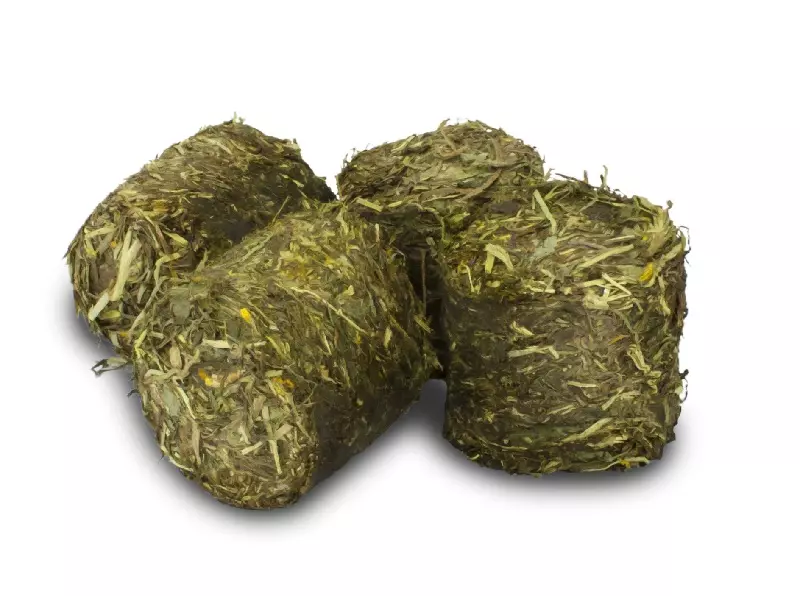 jr-grainless-magen-1 Estomac de Blooms Vital Grainless de JR Farm
