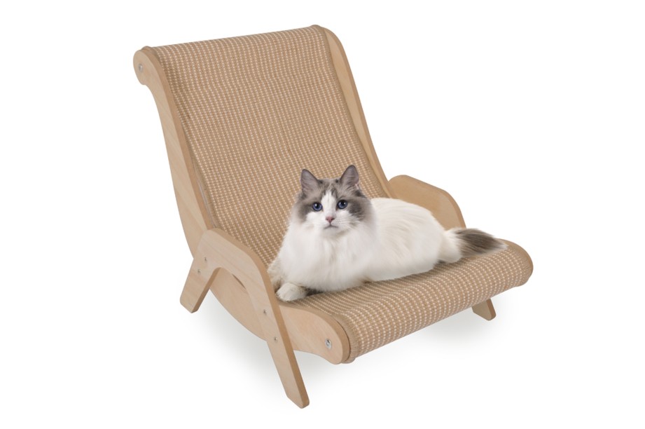 Ragdoll blanc à poil long, aux yeux bleus et aux marques grises sur le visage et la queue touffue, est allongé, détendu, sur une chaise longue en bois clair de couleur beige. Il regarde droit vers l'appareil photo, les pattes repliées. Fond blanc.