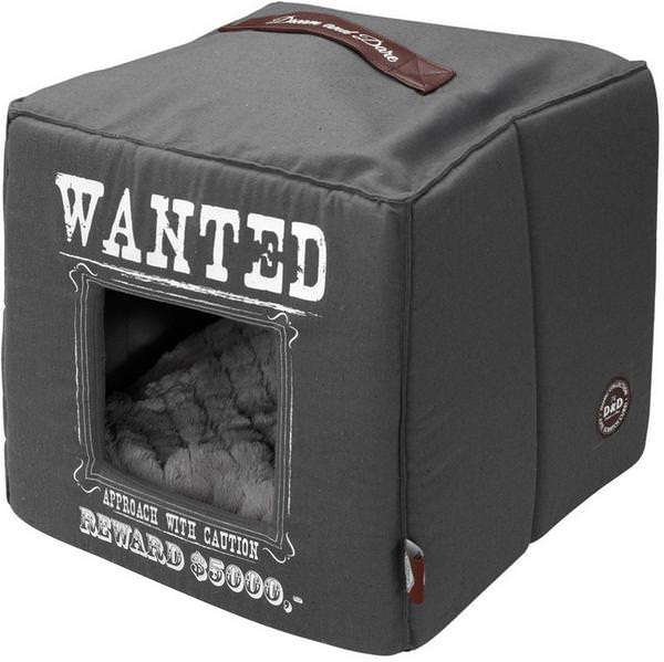 Pet-Cube Wanted